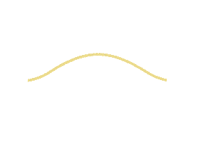 Animované logo Naven